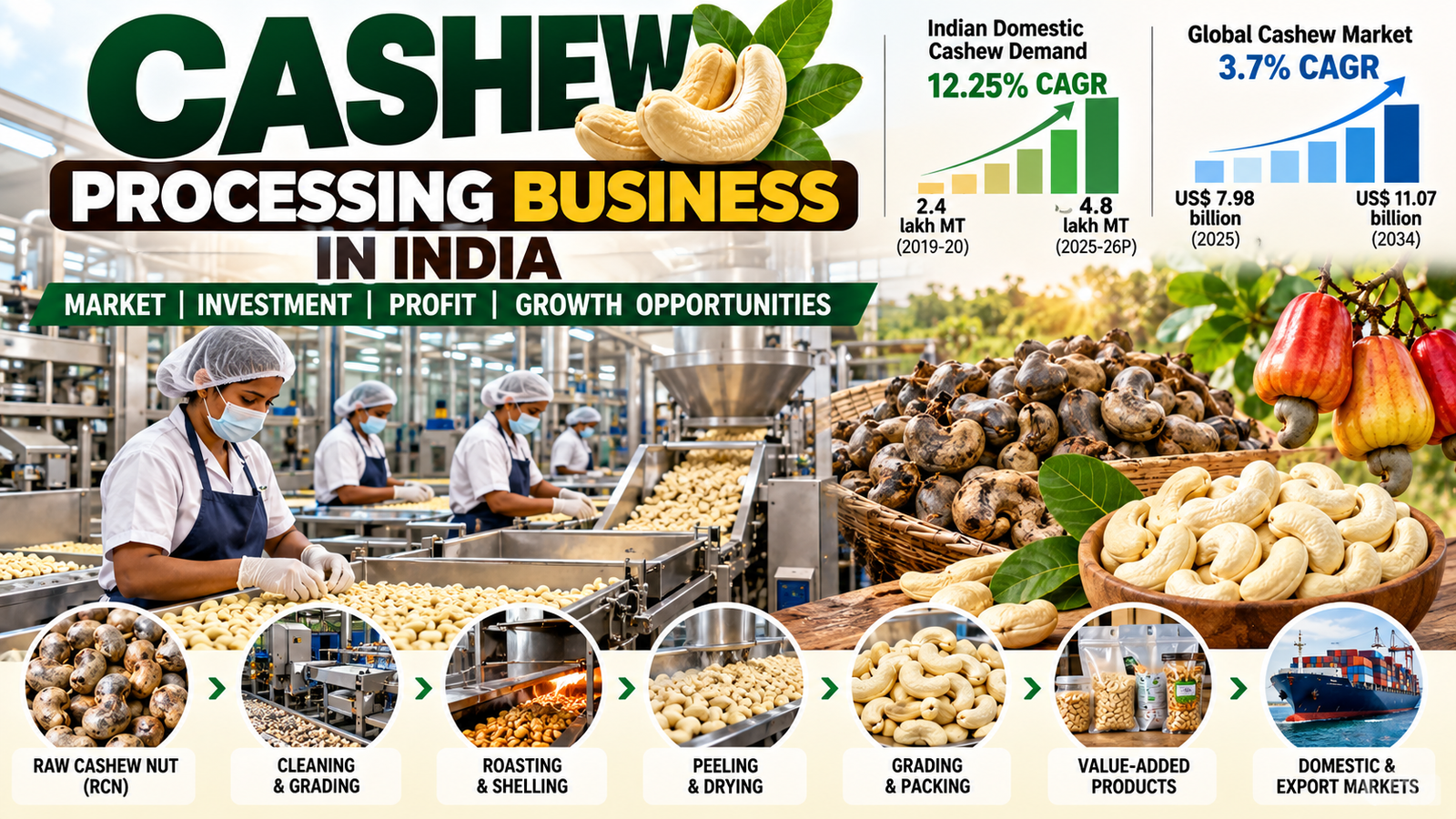 Cashew Market & Business Opportunity In India